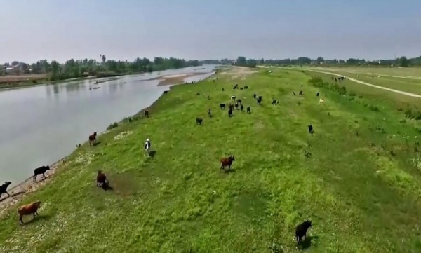 بوجاق کیاشهر