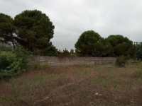 زمین تجاری مسکونی کیاشهر