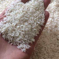 برنج آستانه اشرفیه