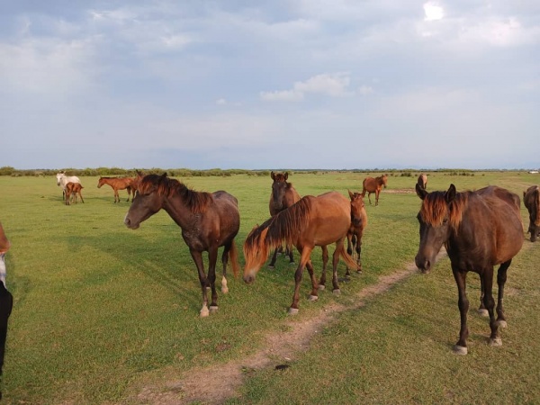 پارک ملی بوجاق بندر کیاشهر Bojaq National Park
